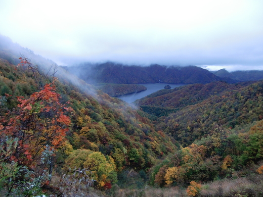 b0074992_14452361.jpg