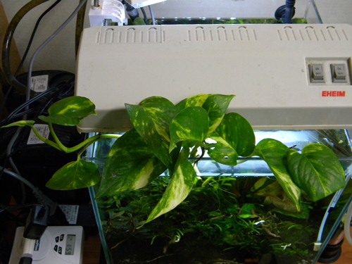 f0138093_14453828.jpg