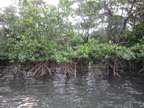 e0248498_0534632.jpg