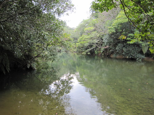 e0248498_0564249.jpg