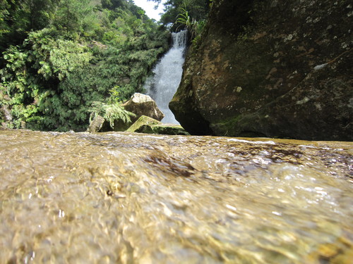 e0248498_113213.jpg