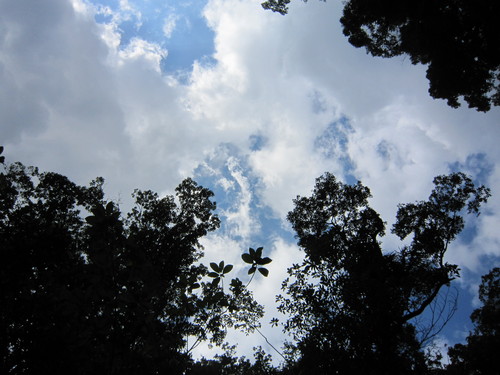 e0248498_1151455.jpg