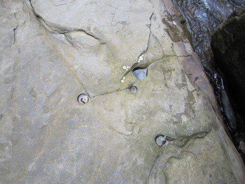 e0248498_1171113.jpg