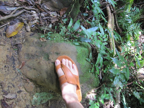 e0248498_11965.jpg
