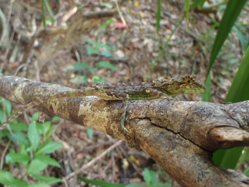 e0248498_131366.jpg