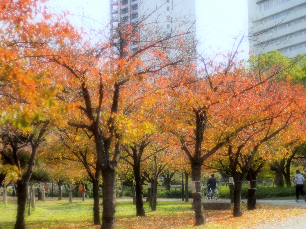 b0138101_22551777.jpg