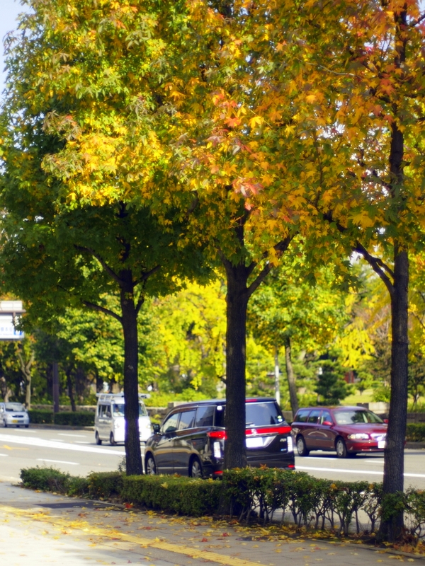 b0138101_2255234.jpg