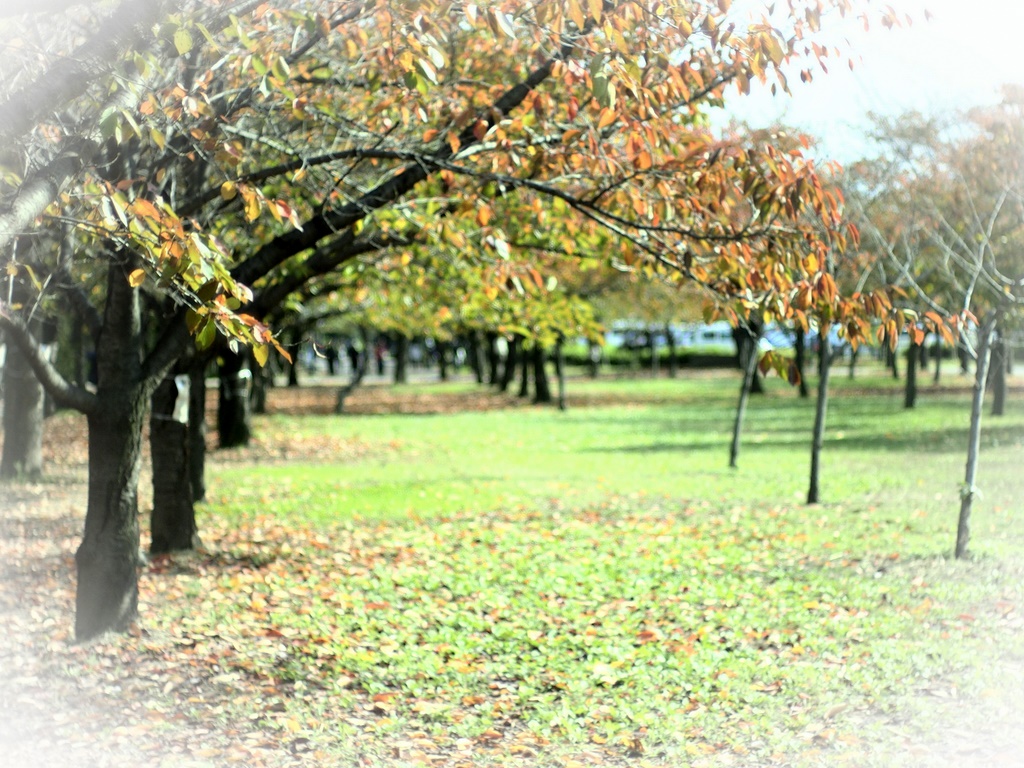 b0138101_22554116.jpg