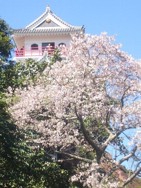 c0072801_3503783.jpg