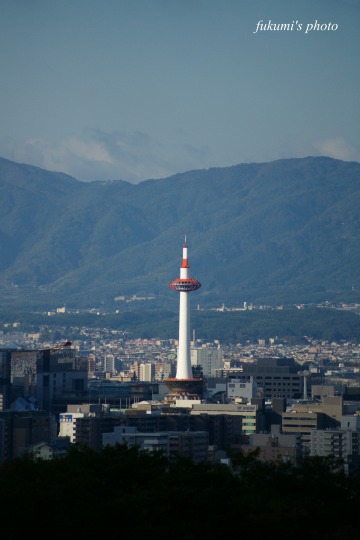 a0117102_19522033.jpg