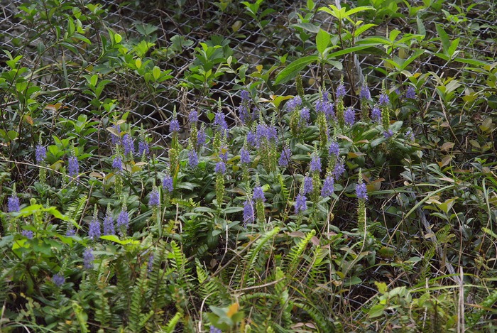 b0174905_8213941.jpg