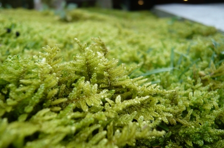 f0221708_0284359.jpg