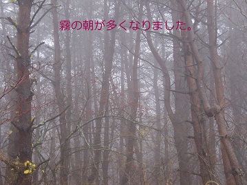 b0200310_10381356.jpg