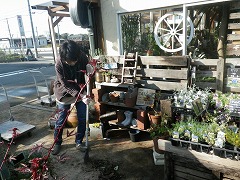 c0190010_20345019.jpg