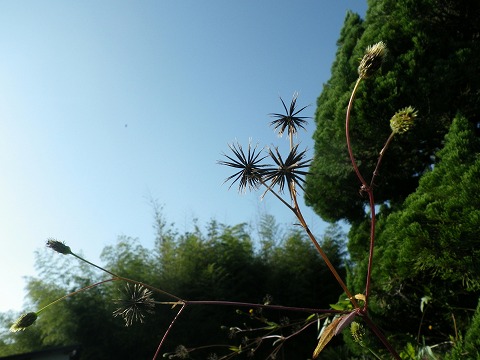 c0190010_2039034.jpg