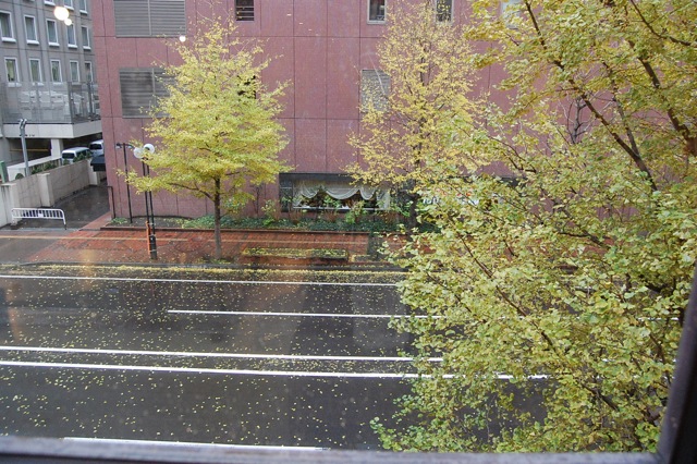 a0112812_231777.jpg
