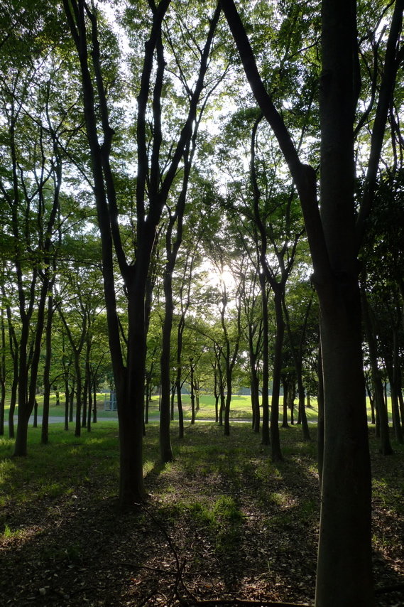 d0220514_2044826.jpg