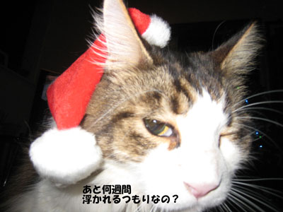 e0195115_2029986.jpg