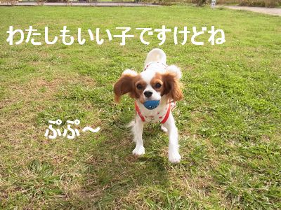 f0214121_0184578.jpg