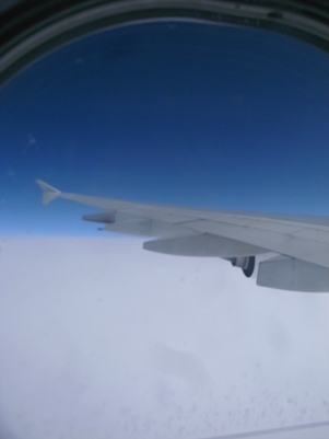 d0098022_192407.jpg