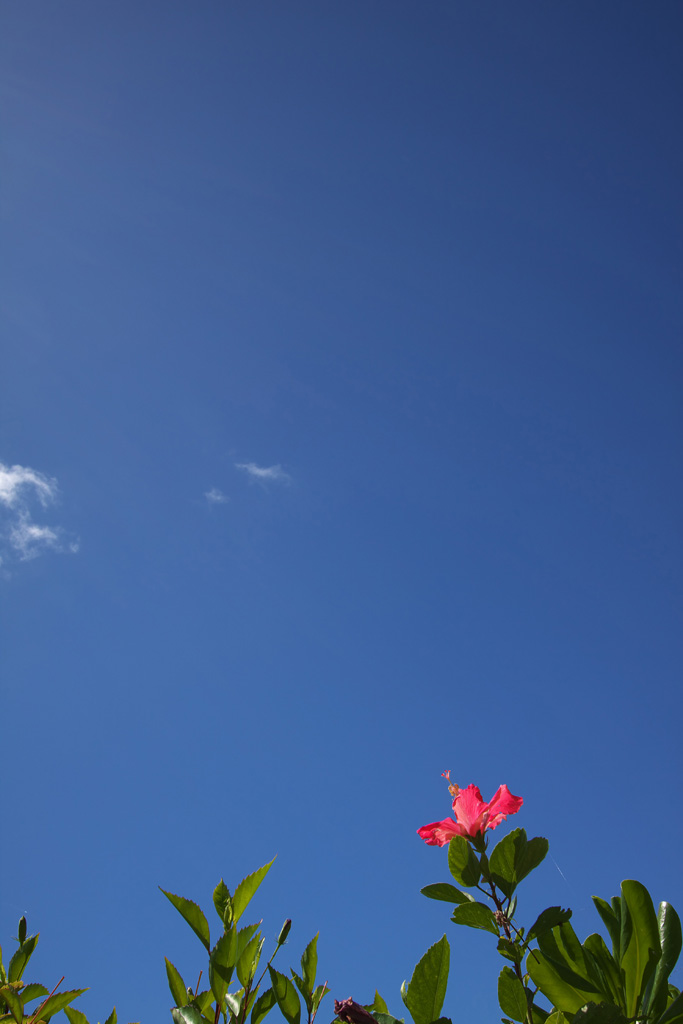 f0004525_13551575.jpg