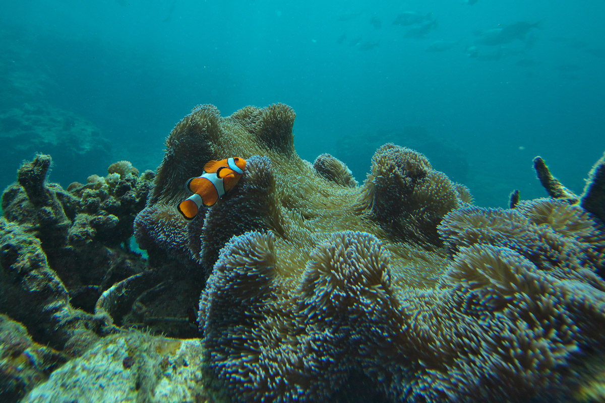 f0004525_13555226.jpg