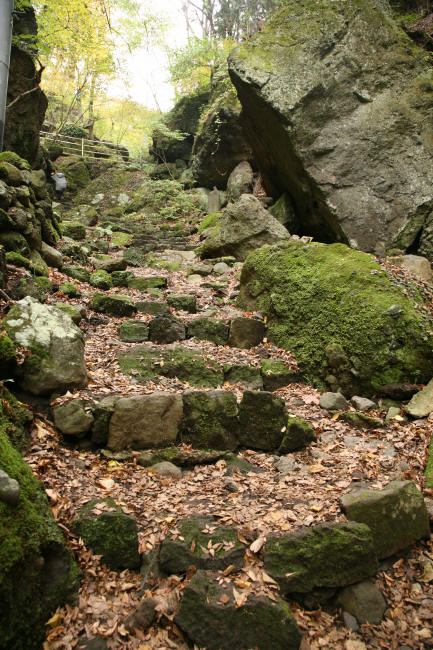 f0017530_20275914.jpg