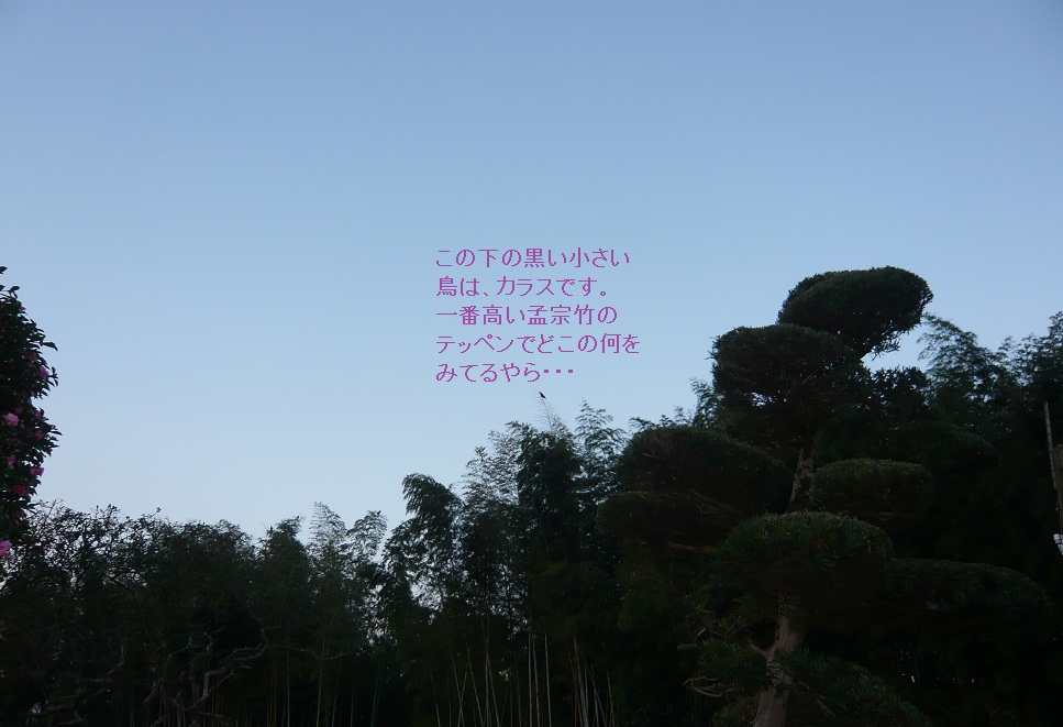 a0206332_7422548.jpg