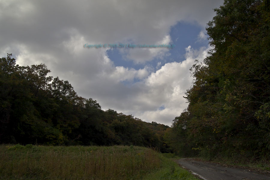 e0089532_20475226.jpg