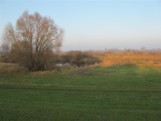 f0224632_20553877.jpg