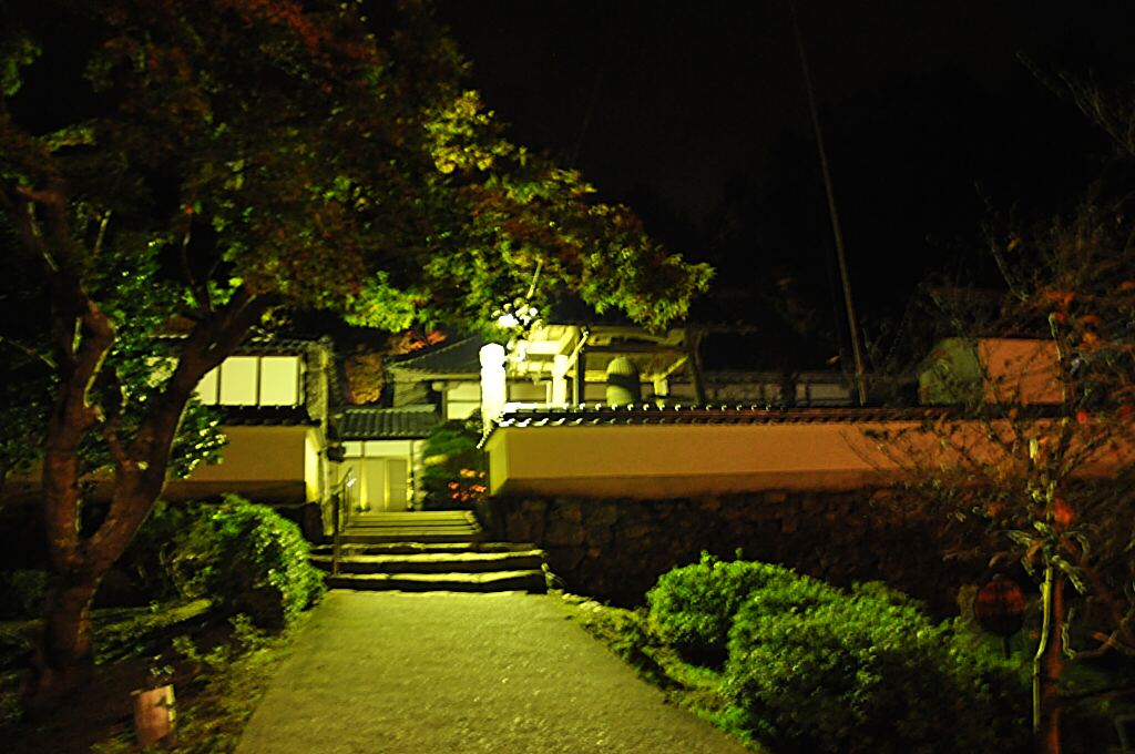 b0129533_19331664.jpg