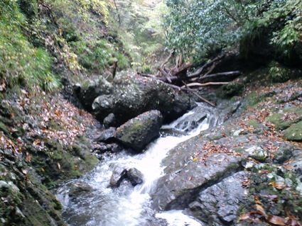 c0108034_16521548.jpg