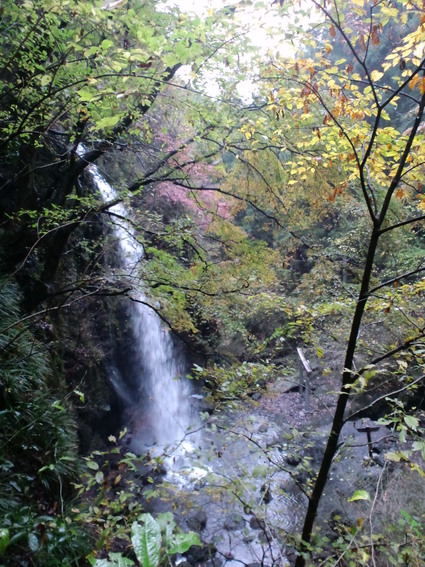 c0108034_16532985.jpg