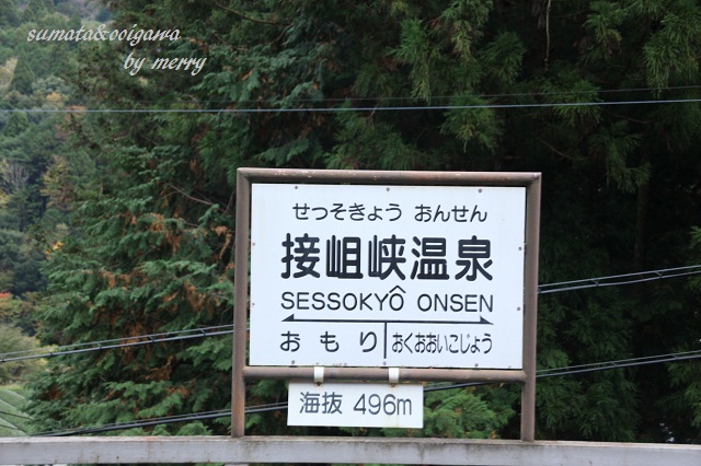 a0207736_21493877.jpg