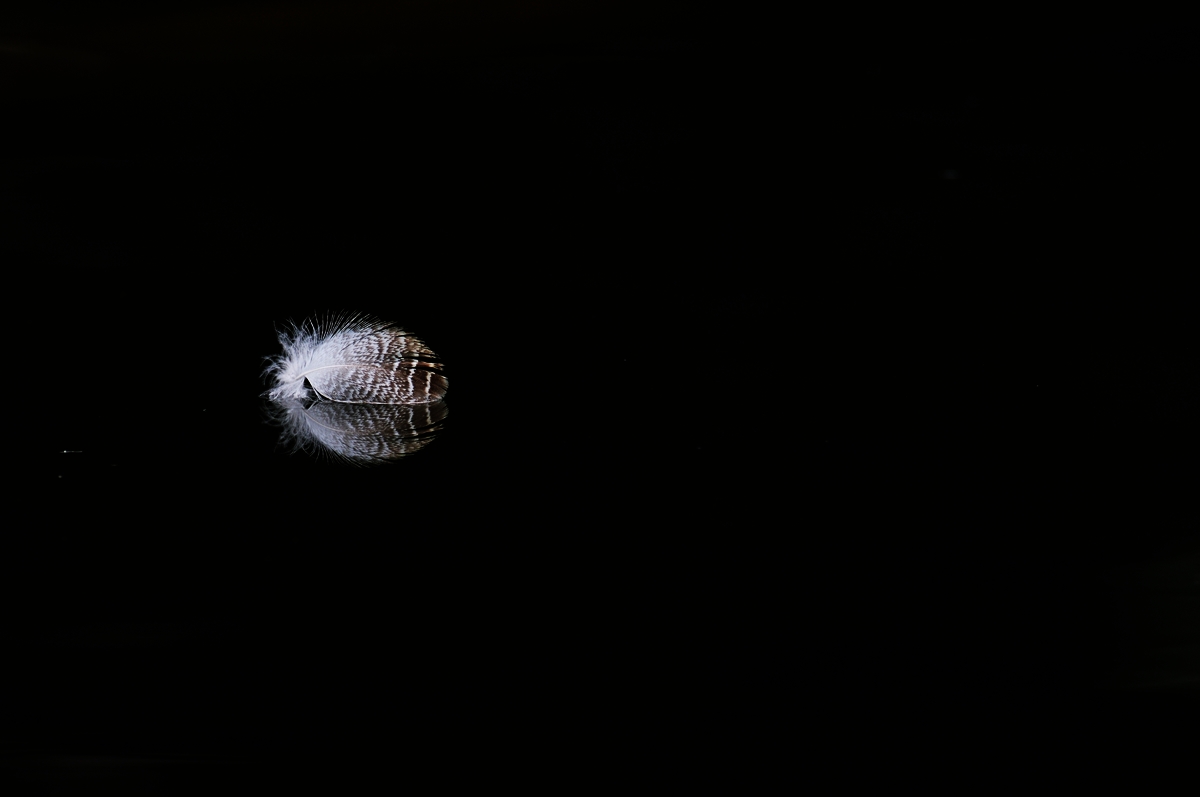 c0221838_17172825.jpg