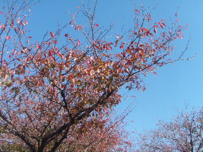 a0054240_2265884.jpg