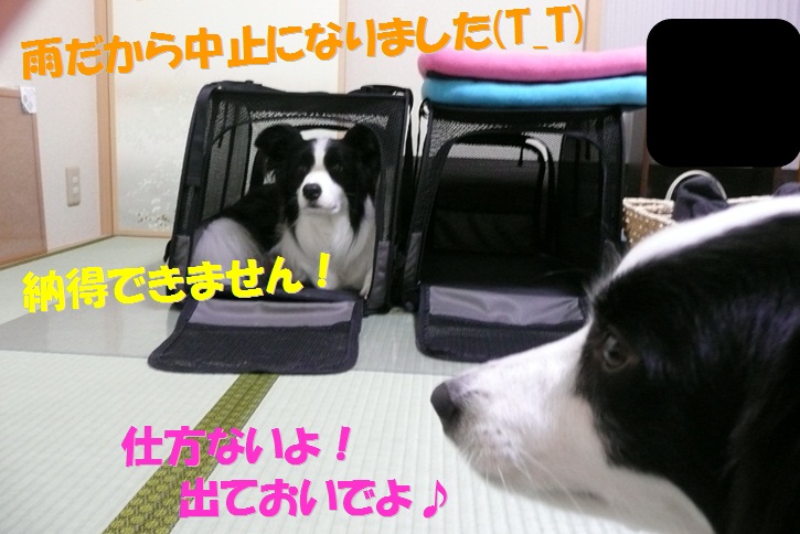 c0147241_2141189.jpg