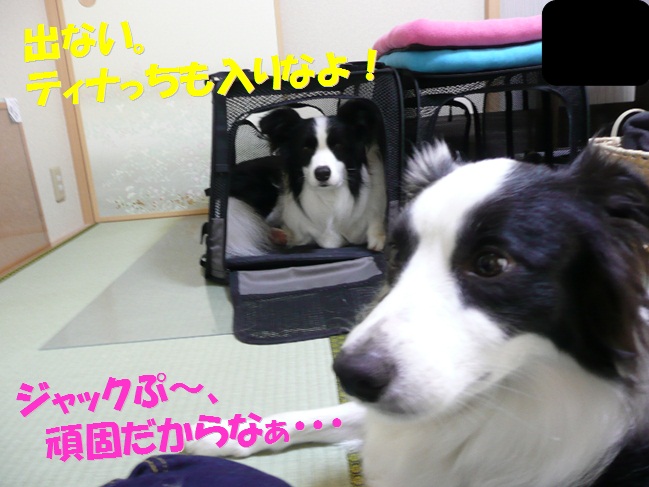 c0147241_2141827.jpg