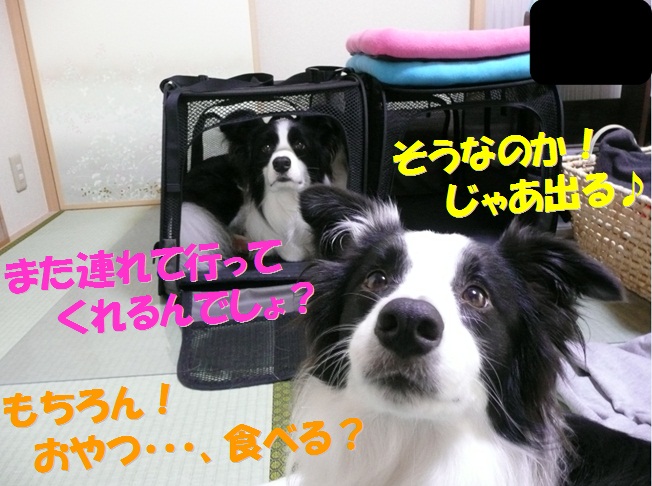 c0147241_2142669.jpg