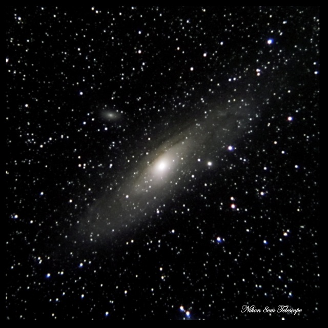 b0167343_0335495.jpg