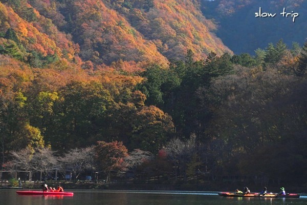 c0228945_1215127.jpg