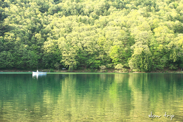 c0228945_622861.jpg