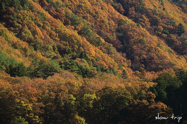 c0228945_685739.jpg