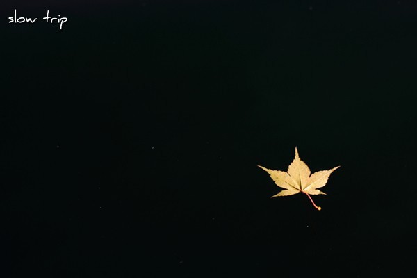 c0228945_8212496.jpg