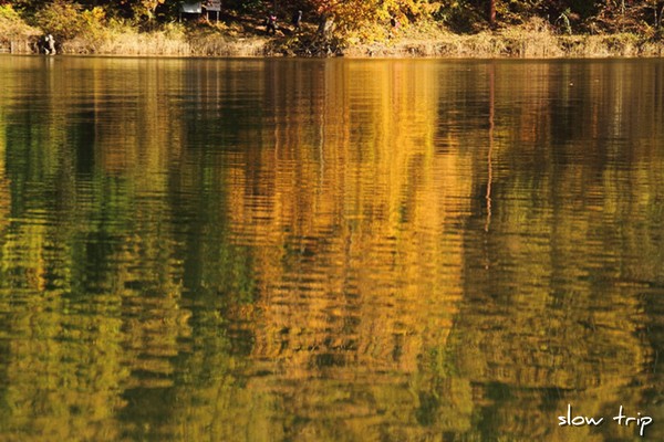 c0228945_822523.jpg