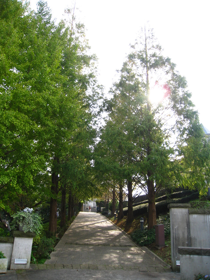 b0032346_13592270.jpg