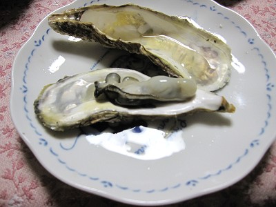 d0031853_133961.jpg