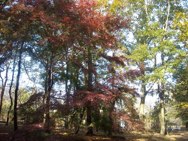 a0088456_17481326.jpg