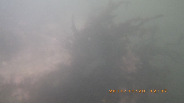 b0075059_2110376.jpg