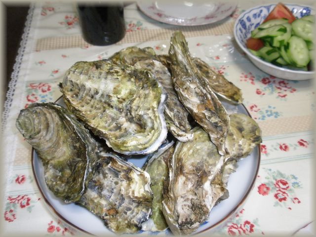d0150967_134456.jpg